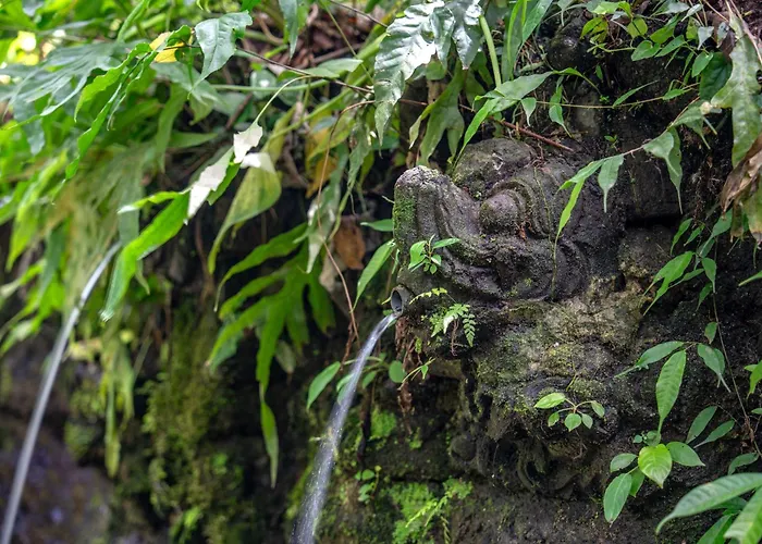 The Macaw Ubud Uma Villa *