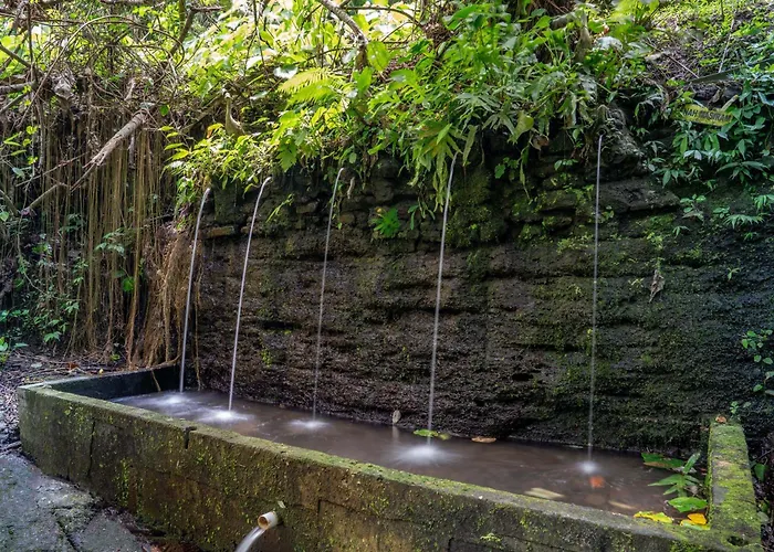 The Macaw Ubud Uma Villa